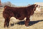 CRR 347 Benefit 539